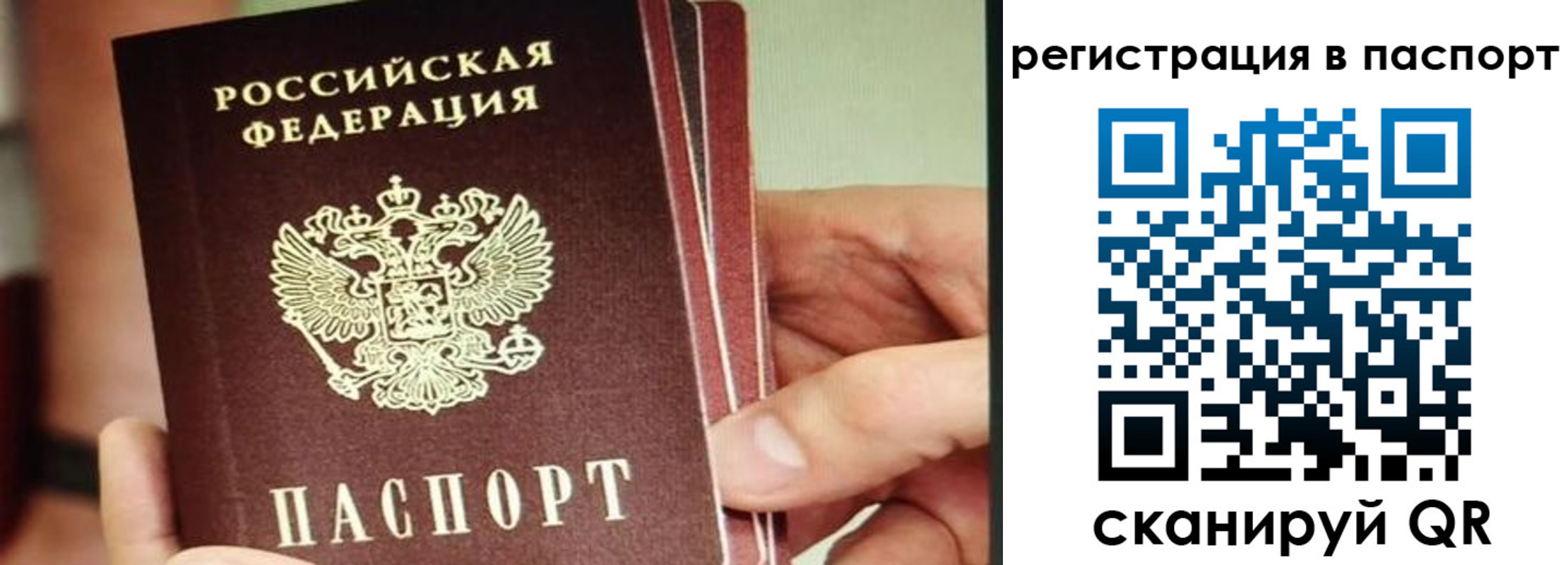 временная регистрация надежно в Павловске
